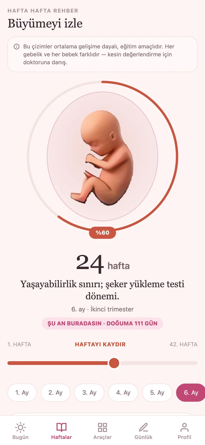 Haftalar ekranı: hafta kaydırıcısı